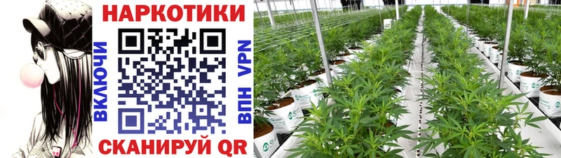 Что такое Юрюзань APVP COCAIN АМФ Мефедрон Марихуана Лсд 25 ГАШ