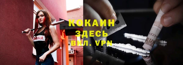 твердый Аркадак