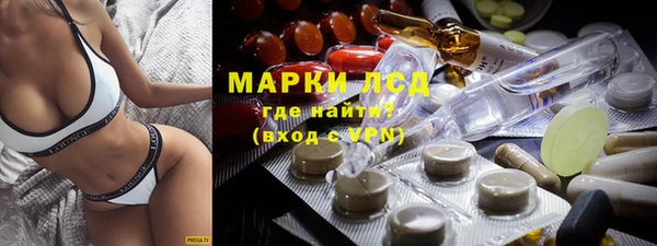 твердый Аркадак