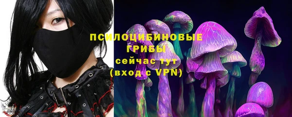 Альфа ПВП Баксан